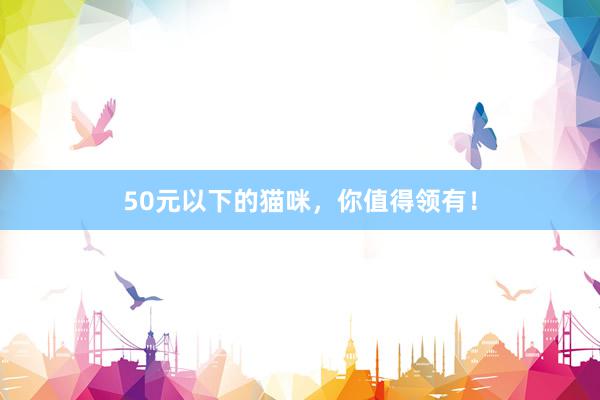 50元以下的猫咪，你值得领有！